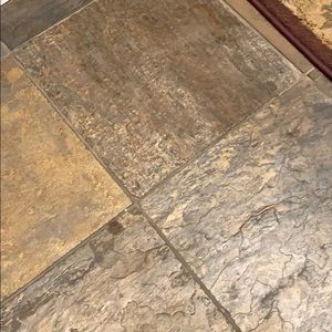 Meet your Posher, Dawn